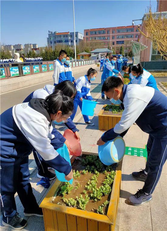 【文明校园】鄂尔多斯:"五个融入"提升中小学生劳动教育效能