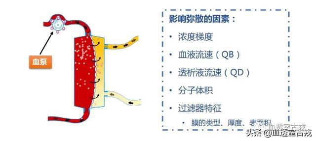 血液透析滤过是什么原理_血液透析滤过的原理图