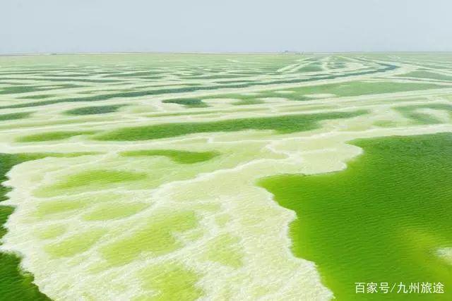 玉树gdp_中国国家电网在菲 光明乡村 项目竣工移交 值得关注(2)