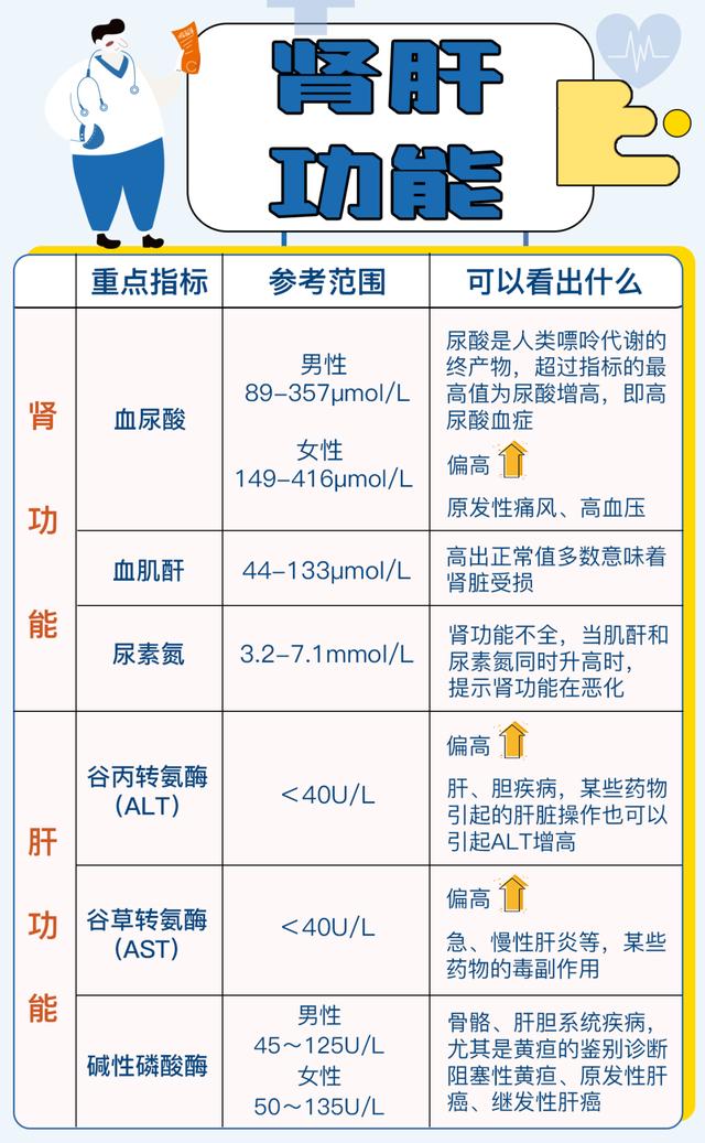 肝 肾 功 能