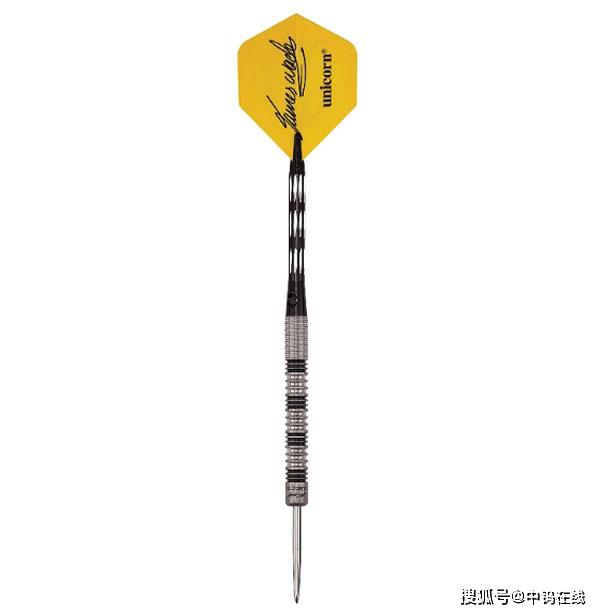 中钨镖局|职业飞镖选手使用哪些飞镖?_世界