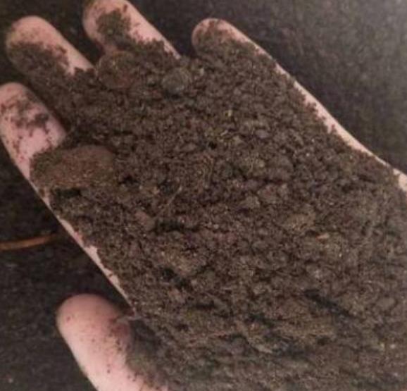 如何让土质变得疏松透气 4d1cc4c56e0e4a4bb06f9714da2d8fe0.jpeg