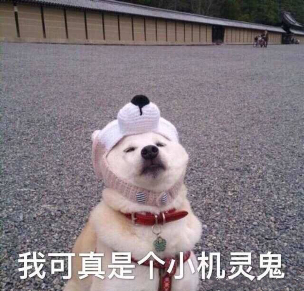 柏莱雅套装怎么用