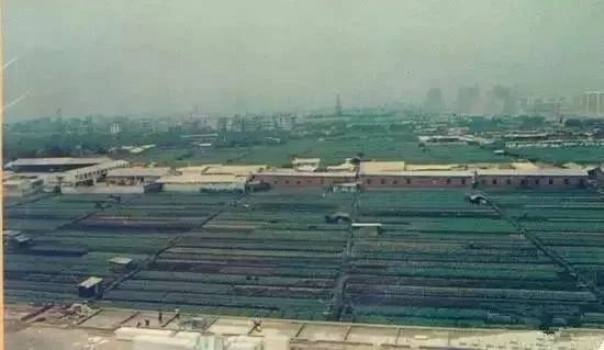 在广州，坐拥400栋楼，到底难不难？