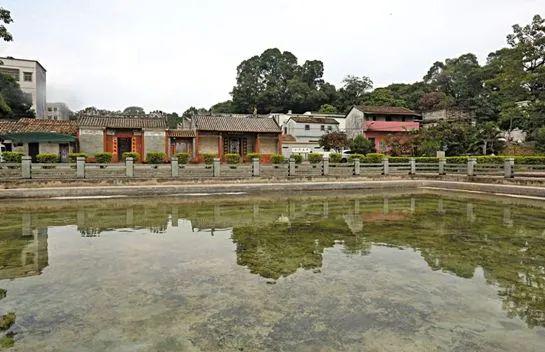 麻涌 华阳村,麻二社区,麻一村,麻三村 阇西村 塘厦 林村社区,龙背岭