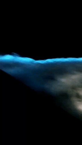 人梦幻到尖叫整个海岸线犹如银河星空不断出现荧光一样的蓝点