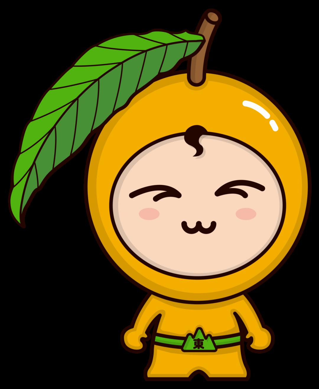 正宗的东山槎湾白玉枇杷