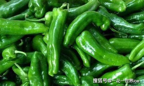 买青椒时辣的和不辣的如何区分菜农教你一招别再买错