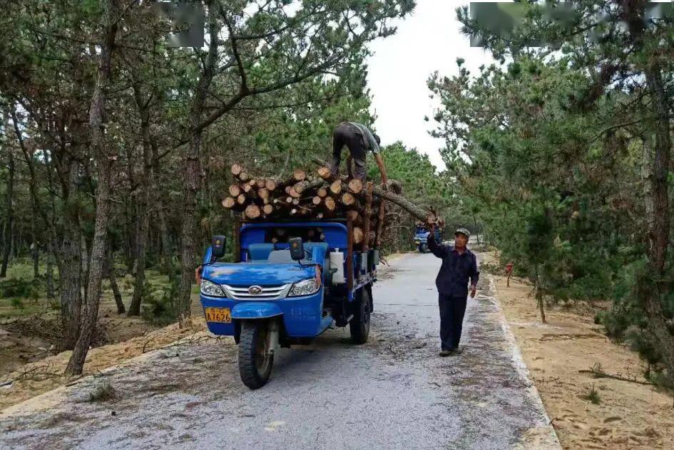 威海南海新区gdp_威海石岛划归南海新区(3)