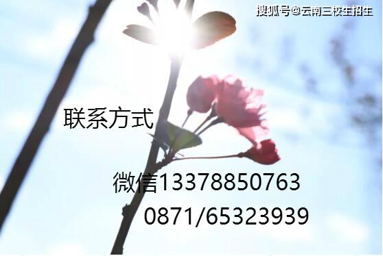 2020云南三校生高考_云南“三校生”高考云南省内近三年招生情况