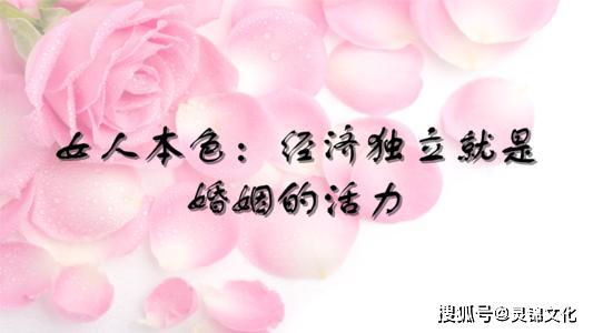 85f7b619378c4d358a3953a26291b7b5.jpeg