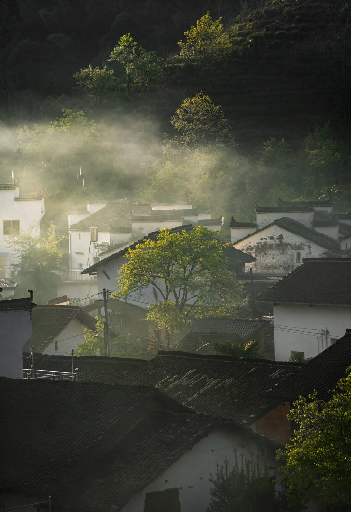 婺源:岚雾今朝重,江山此地深