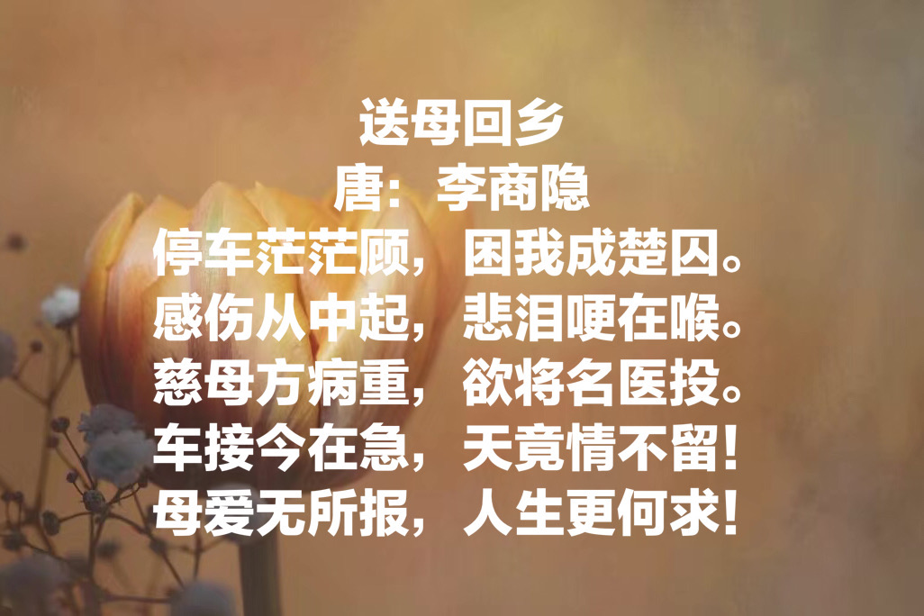 今日母亲节:欣赏十首关于母亲的古诗,感受诗中对母亲的浓浓爱意