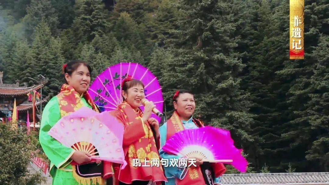 中国影像方志康乐芳香迷人莲花山花儿会尽情欢唱畜牧业蓬勃发展糖合合