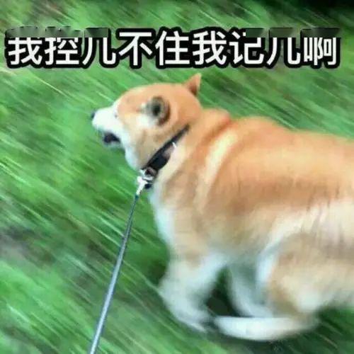 94dfba5b88144319891981eec4011d97.jpeg