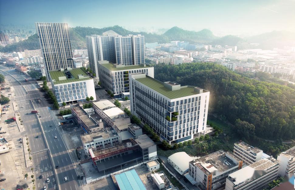 虎门把握战略机遇谋划发展转型