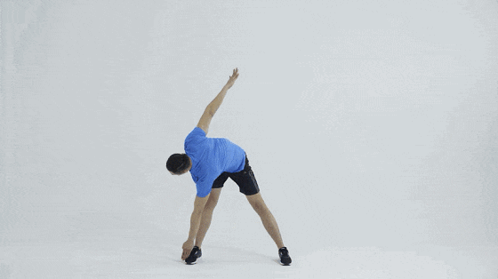 aecd2a6743fc4b1294c31d091a09e42e.gif