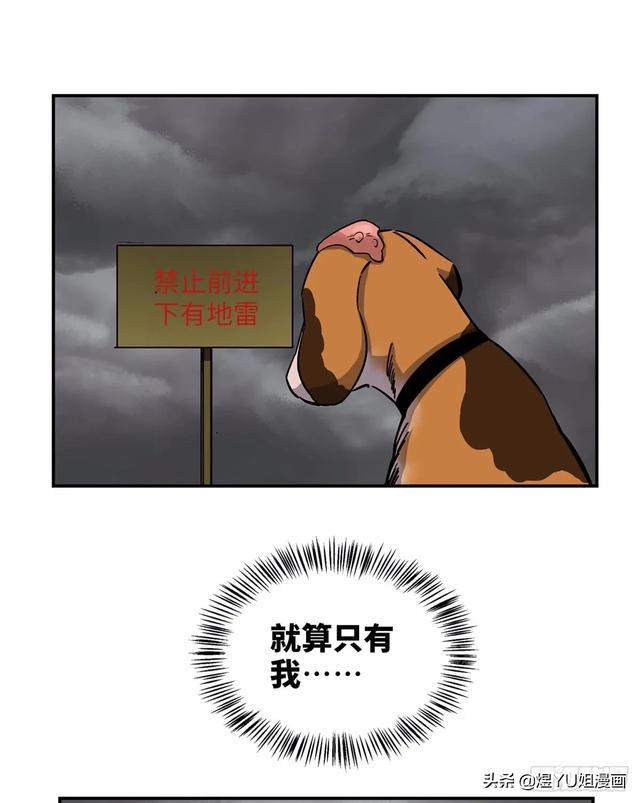 b12b674a65b747ff9c4ab55ca972cbaf.jpeg