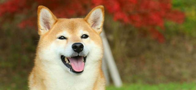 b68b36efcca24842866abb38f7c5a9af.jpeg