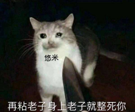 b6f566bca810452a89c2ca31362a5436.png