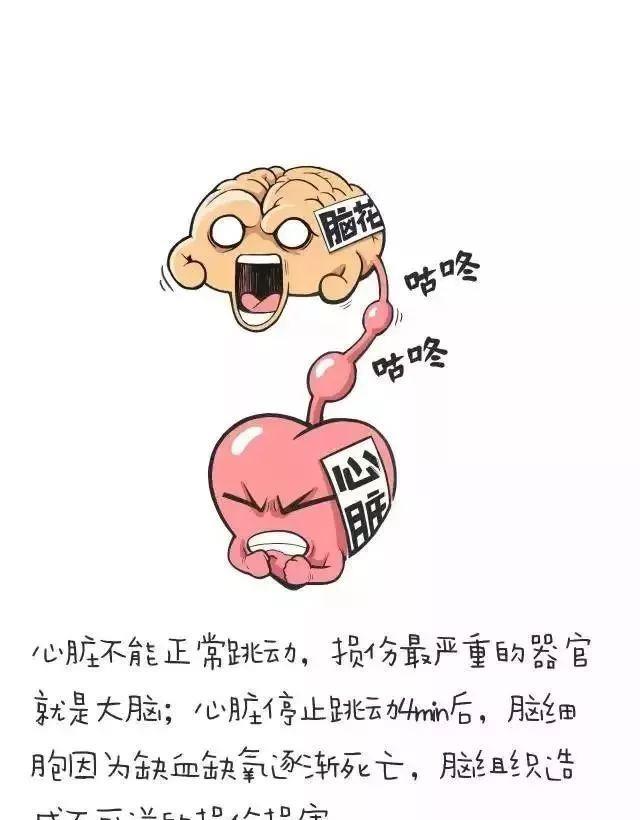 bac1058b904b4577ae94ce8684c0aa58.jpeg