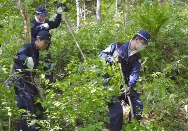 你不知道的——日本警察_交番