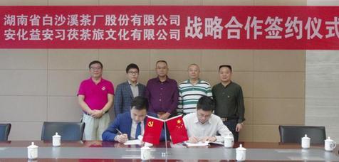 “白沙溪”新零售被质疑涉嫌传销 厂家回应称不