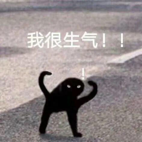 d49a5f69ee5047b383f2bbb90b15ec53.jpeg
