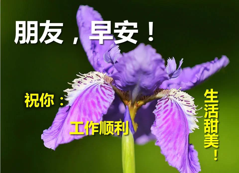 新的一天开始了,早上好问候语图片,早上好祝福语表情