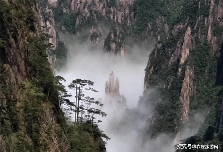 安徽黄山风景区雨后放晴绝美胜景纷纷来袭