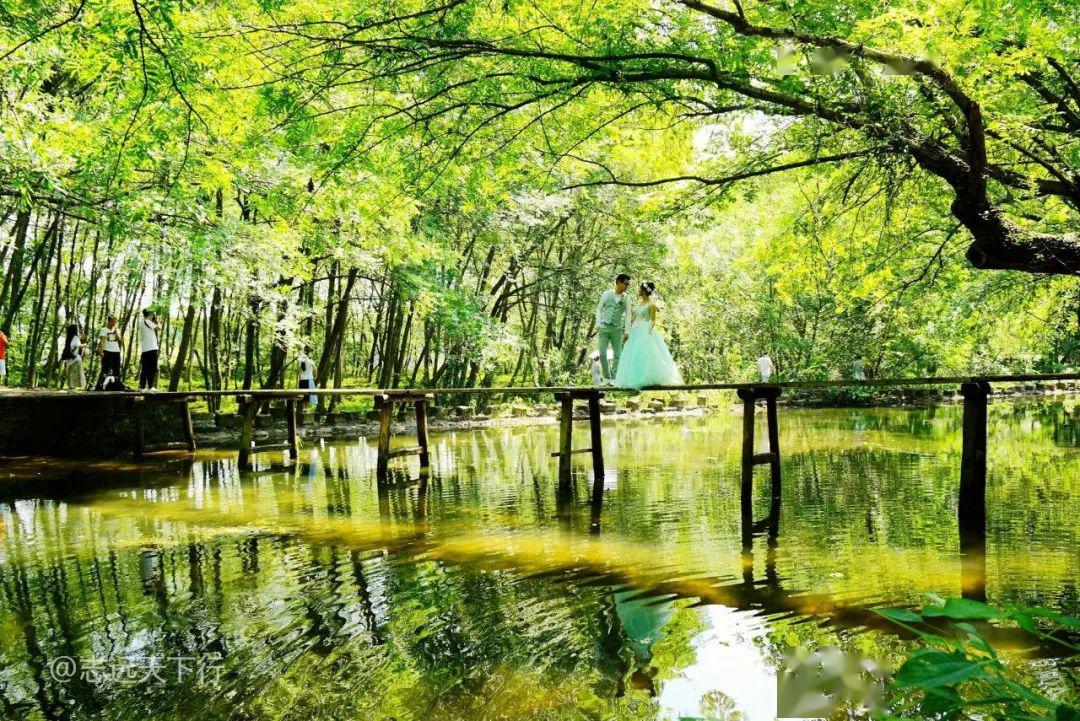 西溪南湿地公园