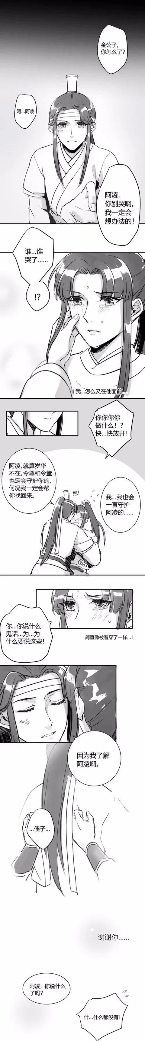 魔道祖师追凌阿凌别哭我会好好守护你的