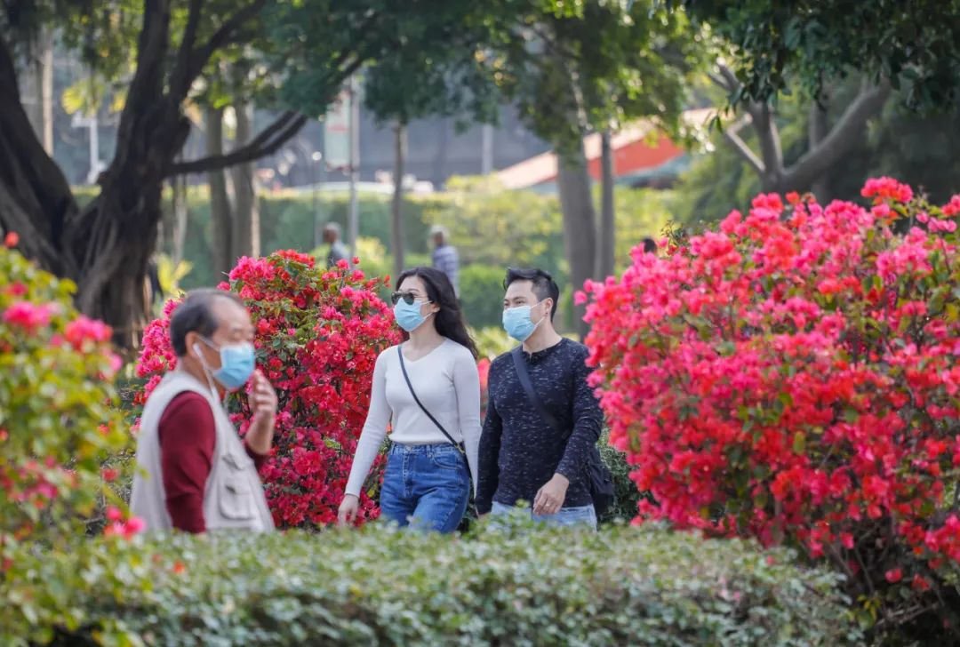 广东响应级别调整，口罩可以摘了？权威回应来了