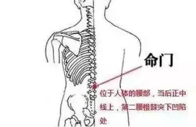 位置:人体的腰部,当后正中线上,第二腰椎棘突下凹陷处.