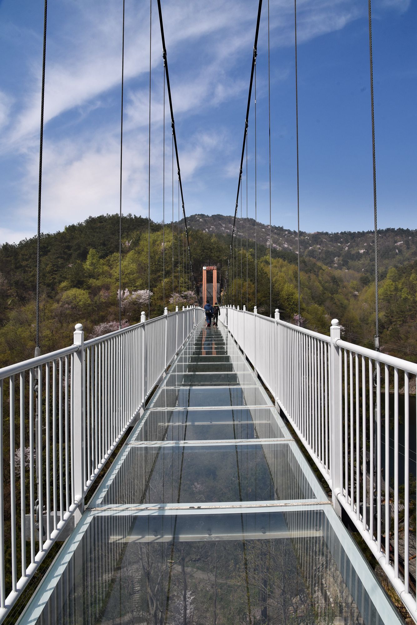 凤凰山玻璃桥风景图片