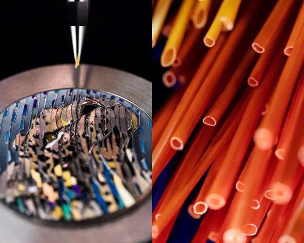 ���۽�Watches &amp; Wonders 2020�� Cartier M��tiers d'Art ��δ...