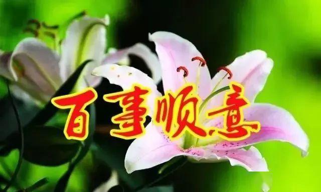 衷心祝福你