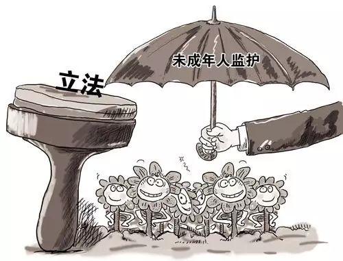 政策解读中华人民共和国未成年人保护法