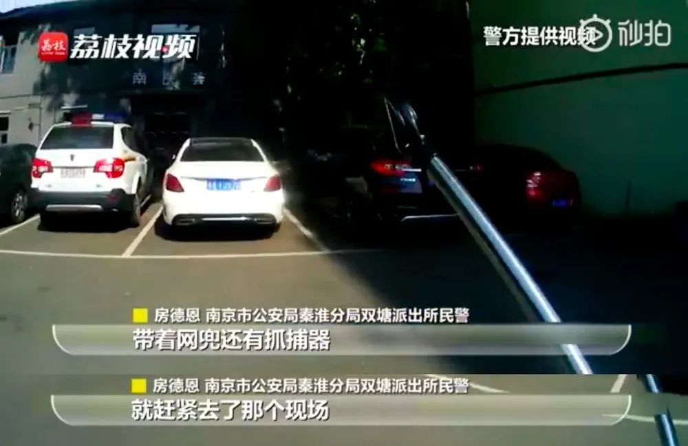 群众报警称有多只恶犬咬人，警察赶到后一脸懵逼