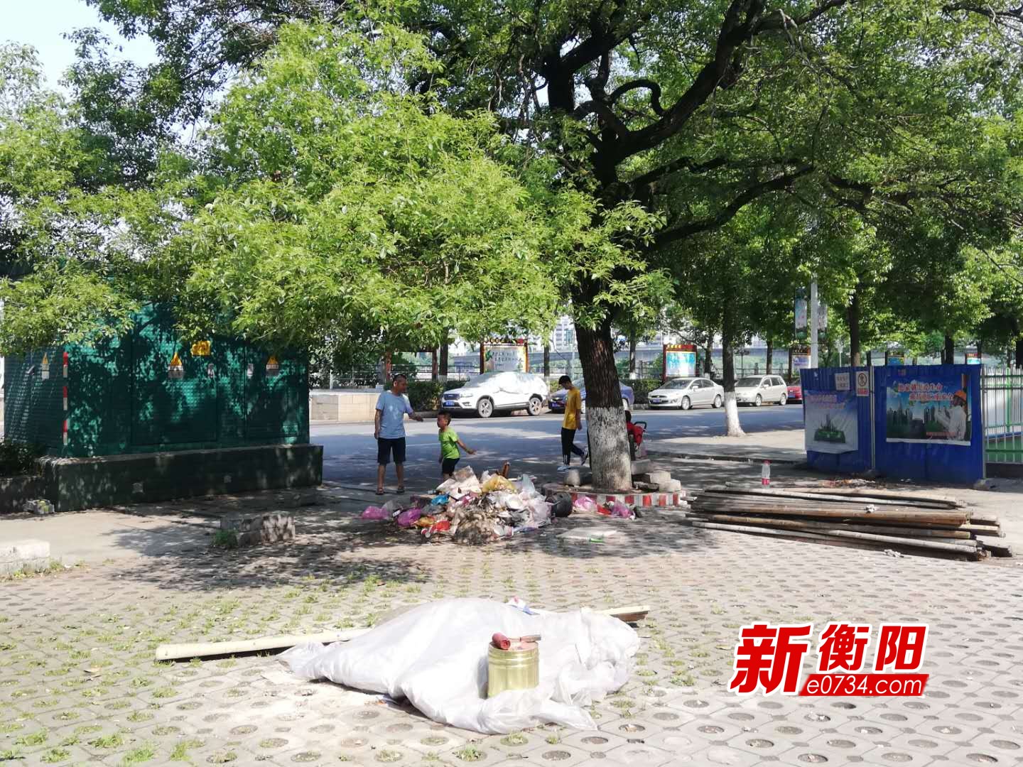 向不文明行为说“不”：居民图方便古樟树下垃