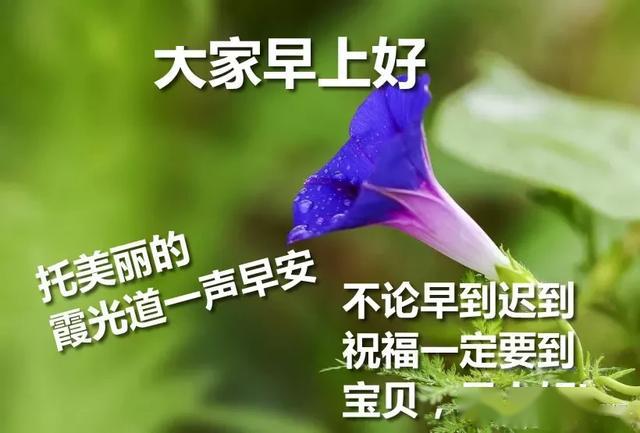 大家早上好的问候语表情图片大全 早上好图片祝福句子微信