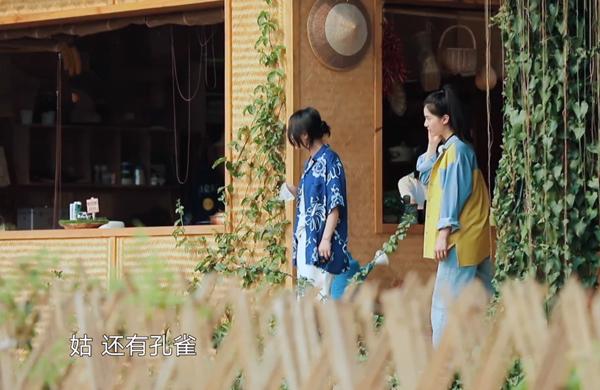 周迅放下身段捧侄女出道，对方却被讽是最丑小