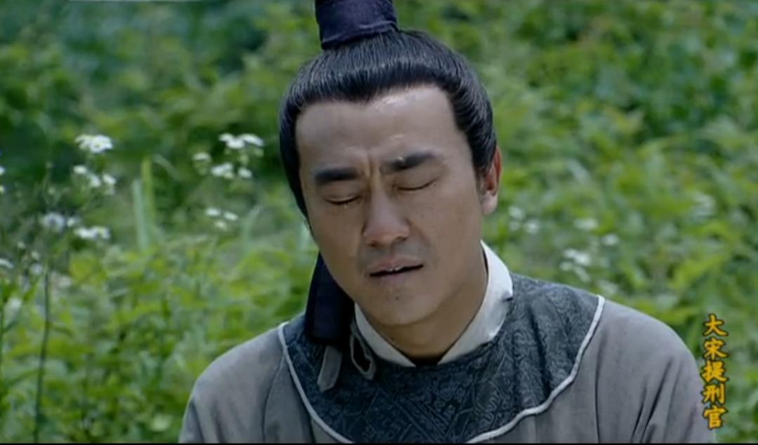 再无人敢拍《大宋提刑官》