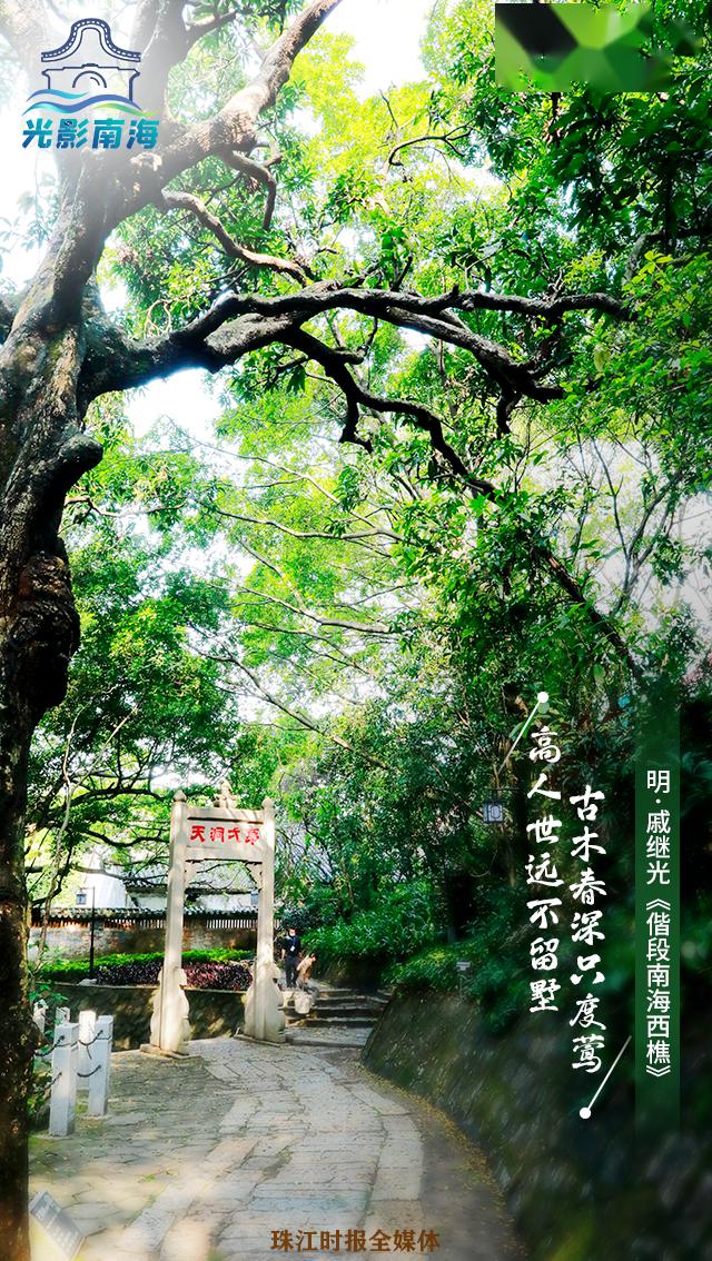 【西樵镇】一首诗 一盛景......跟着古诗游樵山，