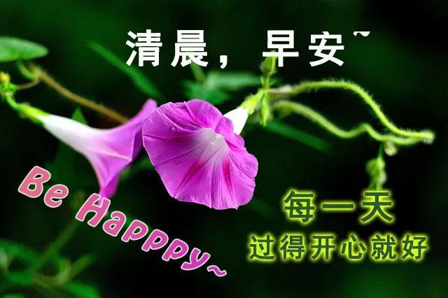 5ºףֶ̬ͼƬ Ϻܰ簲ʺͼƬ