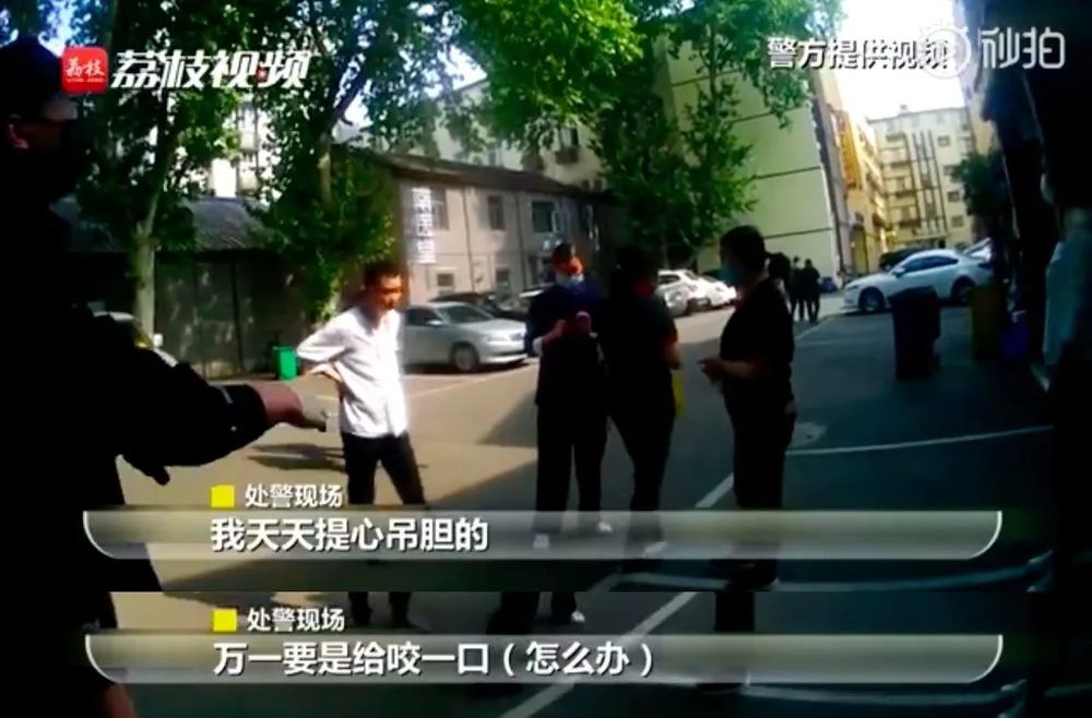 群众报警称有多只恶犬咬人，警察赶到后一脸懵逼