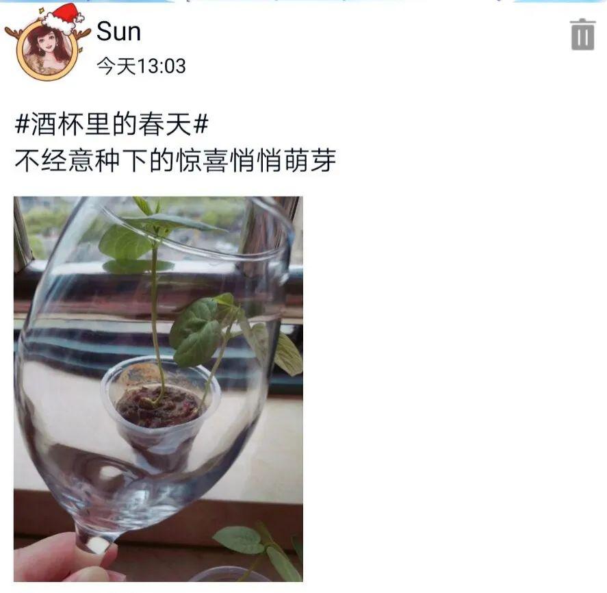 酒瓶瓶倒在酒杯杯碎曲谱_酒瓶瓶酒杯杯碎曲谱(3)