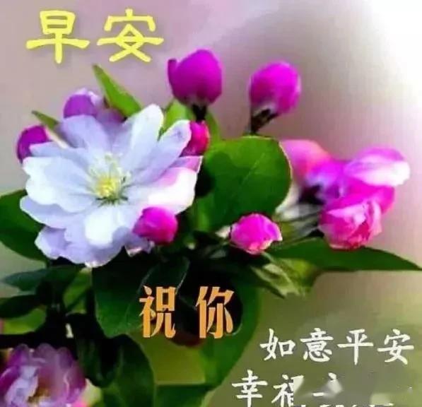 八月三十一号早上好问候语 31f13f30534946e2beb11cf7cef8a5fa.jpeg