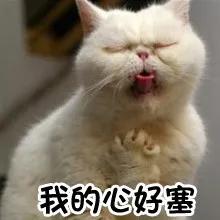 南京2020小升初排名_不给发喜报的2020,南京初中分数排名还是给整理出来(2)