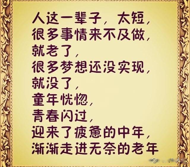 3c82344da03c435ab6c4e561cc56c12a.jpeg